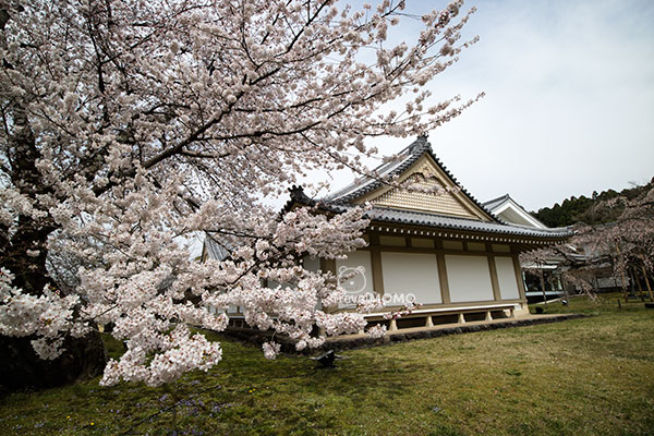 Daigo-ji Reihokan in Kyoto , Japan 日本京都醍醐寺靈寶館