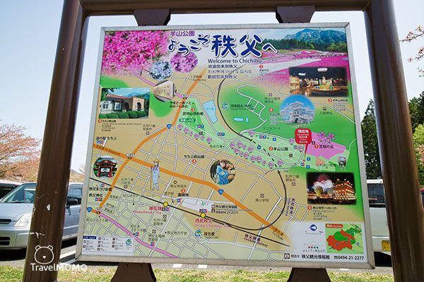Hitsujiyama Park in Chichibu 秩父市羊山公園