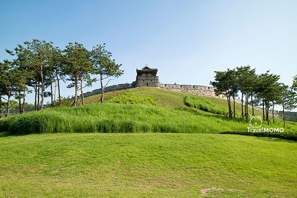 Suwon Hwacheong Fortress 水原華城