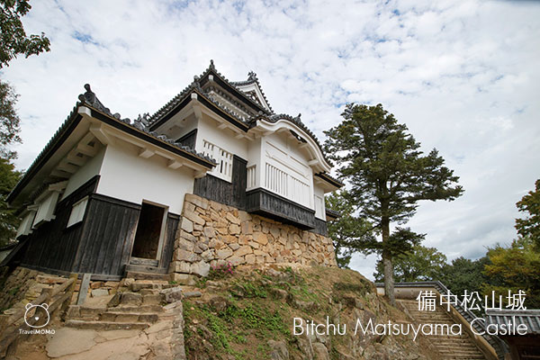 Bitchi Matsuyama Castle 備中松山城