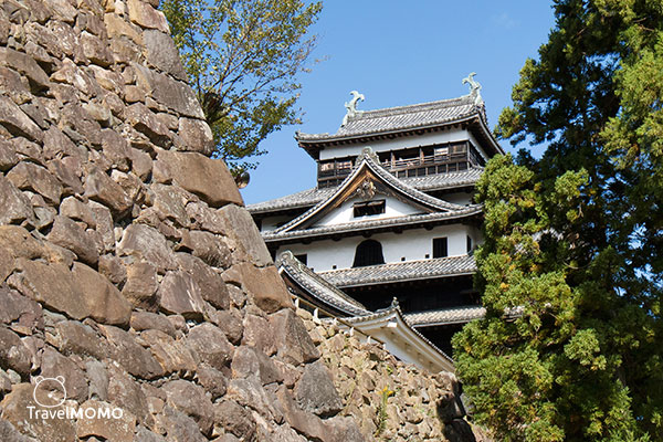 The keep of Matsue Castle 松江城天守閣