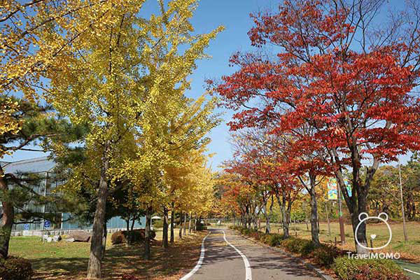 The Ilsan Lake Park offers a nice walk in autumn 一山湖水公園是一個欣賞秋色的好地方