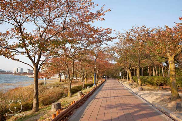 Bomun Lake in Gyeongju 慶州普門湖