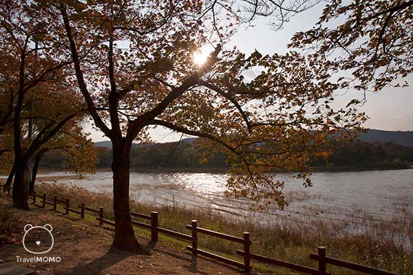 Lakeside of Bomun Lake in Gyeongju 慶州普門湖畔