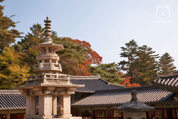 佛國寺內的佛塔 Pagoda in Bulguksa Temple 