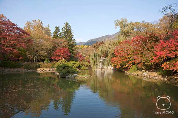 The pond in the courtyard of Bulguksa in Gyeongju 慶州佛國寺水池
