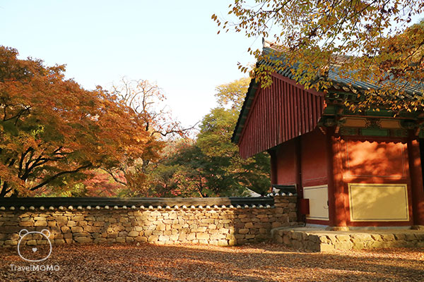 Seonunsa Temple in Korea 韓國禪雲寺