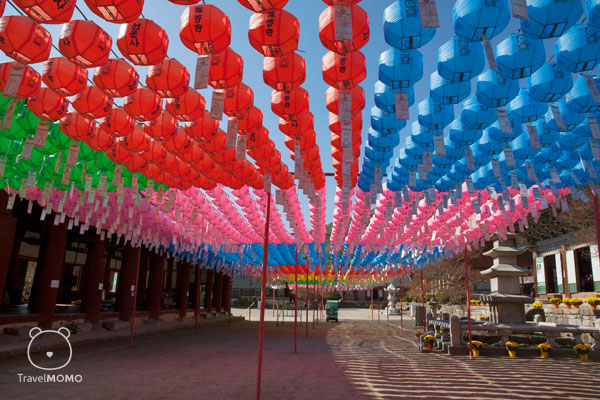 Laterns in Seonunsa Temple 禪雲寺內的燈籠
