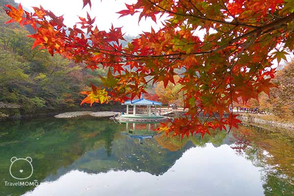 The lake in Naejangsan 內臟山的湖