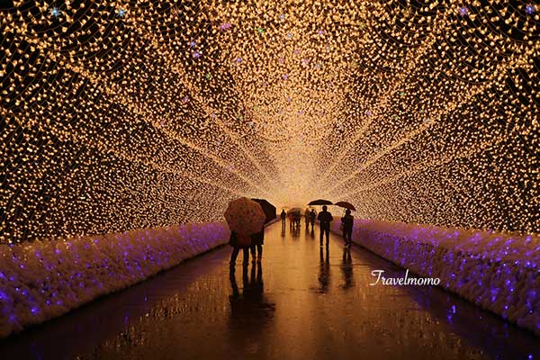 Nanaba illumination 名花之里冬季彩燈祭