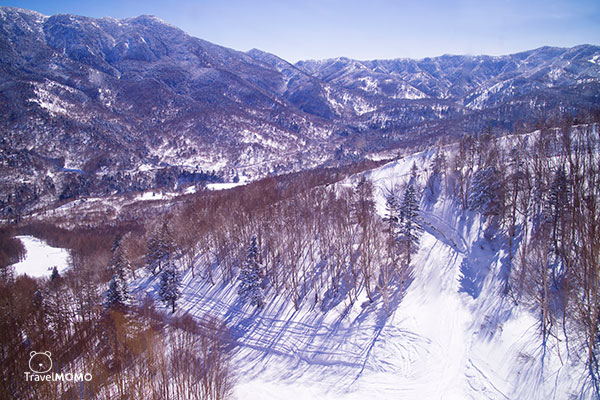 Ski trail in Okushiga Kogen 高志賀滑雪道
