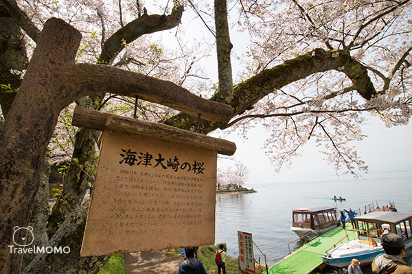 Kaizuosaki at Lake Biwa 琵琶湖海津大崎