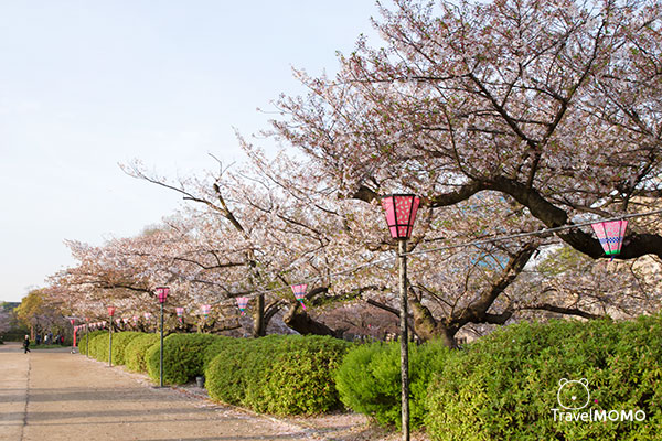 Nishinomaru Garden in Osaka Castle Park 大阪城公園西之丸庭園