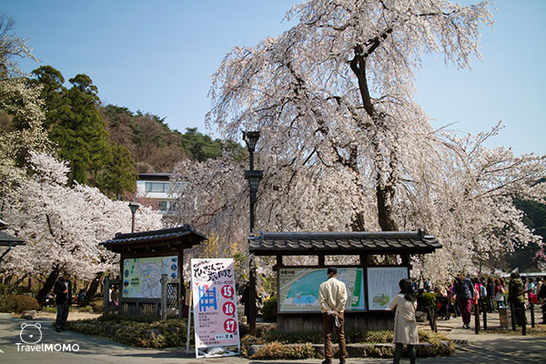 Garyukoen in Nagano, Japan 日本長野臥龍公園