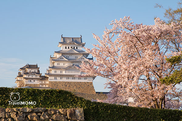 Himeji Castle 姬路城