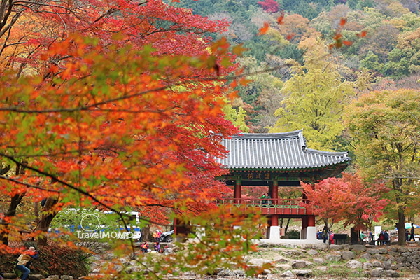 Baekyangsa Temple 白羊寺