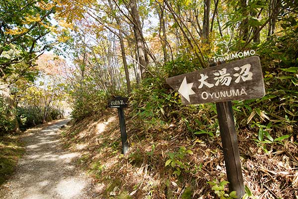 Oyunuma pathway 大湯沼步道
