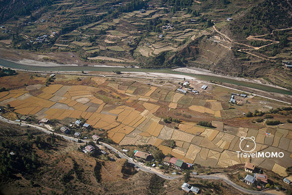 Aeroview of farm lands 