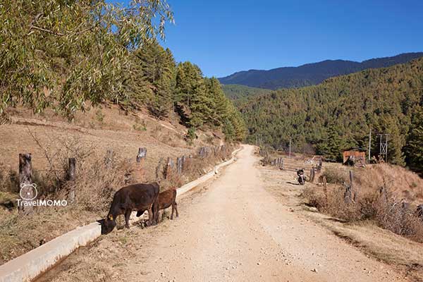 West to Central Highway in Bhutan 不丹西部至中部公路