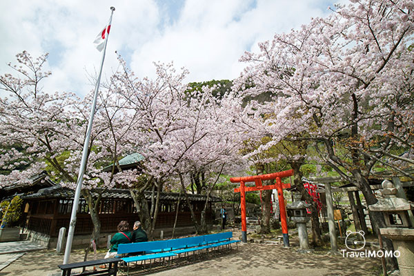 Kitano Tanman Shrine in Kobe 神戶北野天滿神社