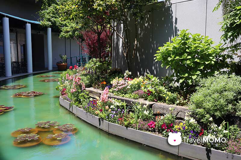 Claude Monet's water lily pond in Otsuka Museum of Art 大塚國際美術館的睡蓮池
